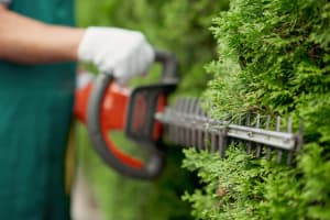 Yard work 3 Male gargener trimming hedge using special tool