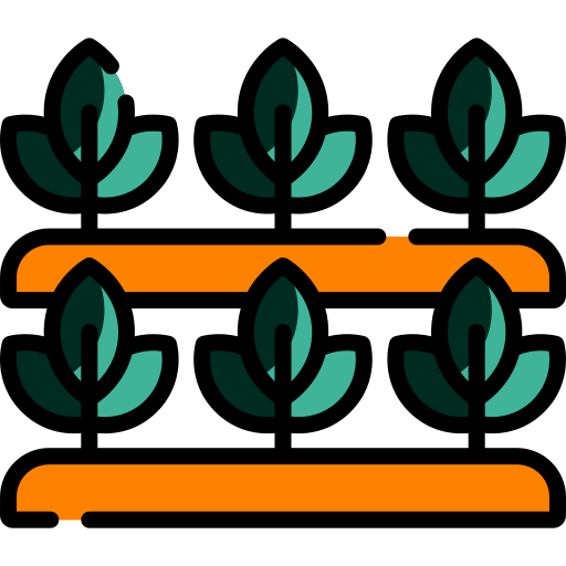 Hydroponie