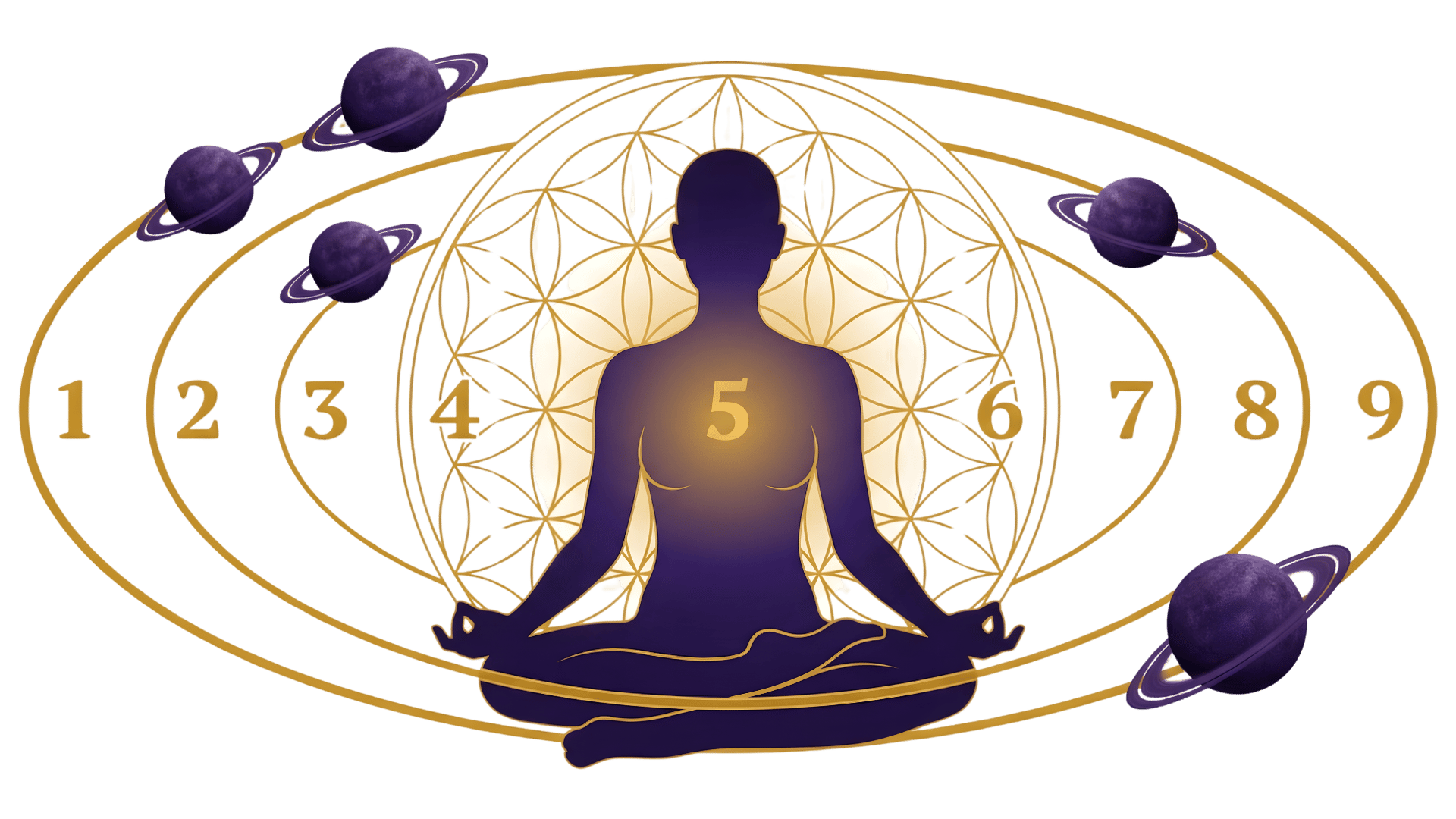 Numerology report hero visual