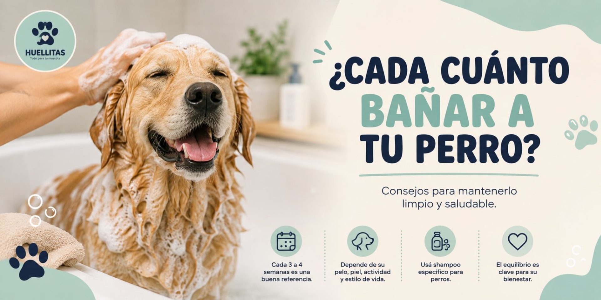 ¿Cada cuánto se recomienda bañar a tu perro?