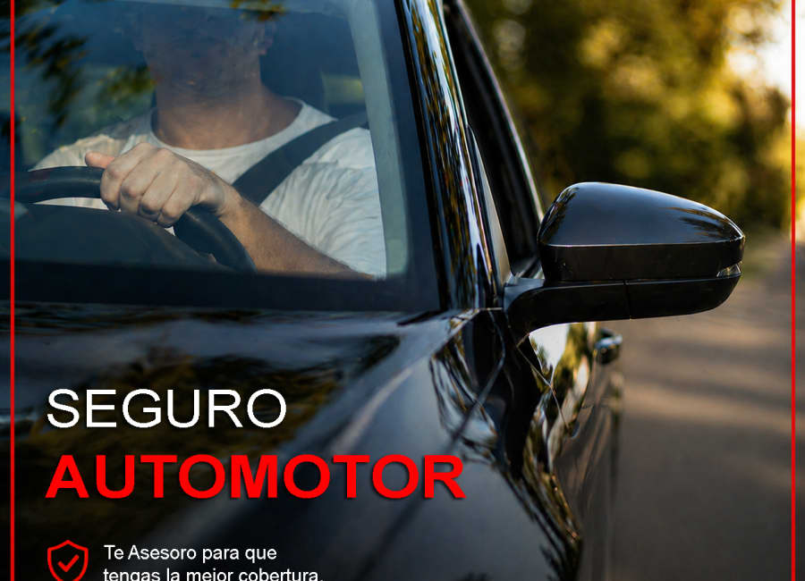 Seguro Automotor - Servicio de Ramón Herrera Caminos | RDP Argentina