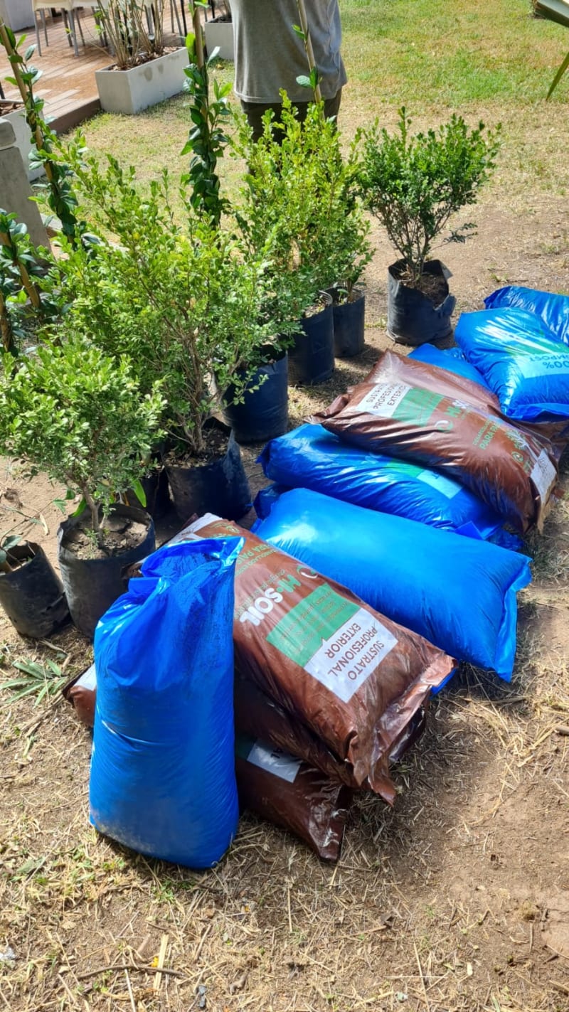 Suministro de plantas, macetas, sustratos e insumos