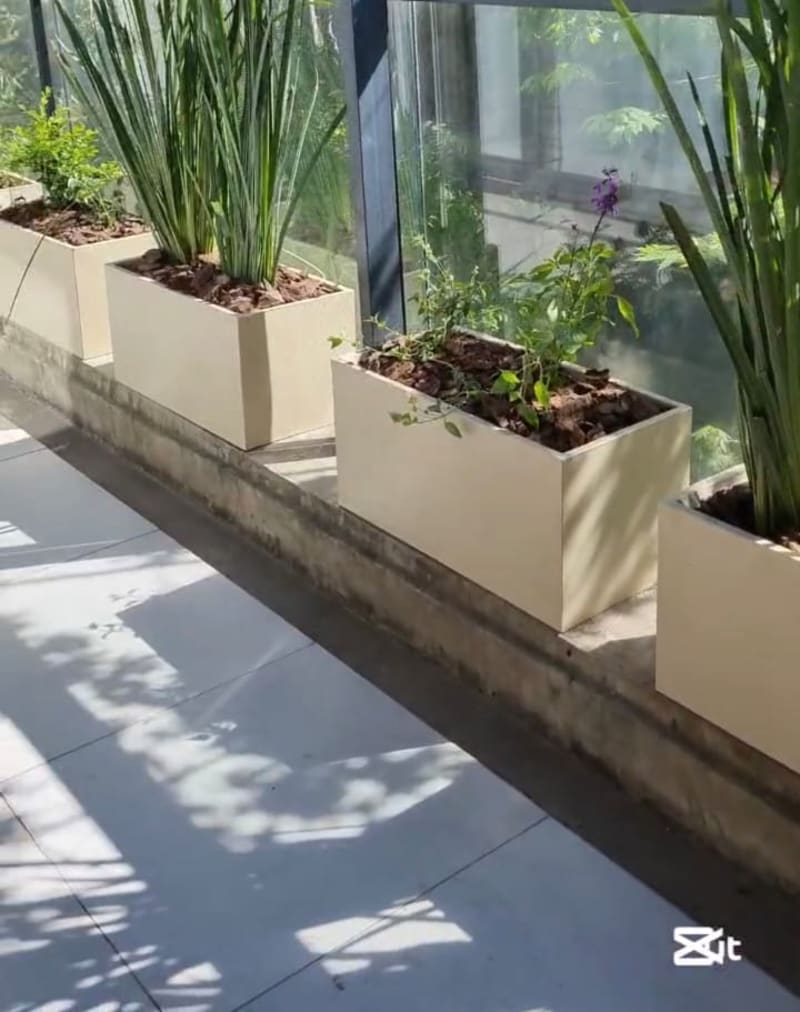 Diseño de jardines, balcones y terrazas