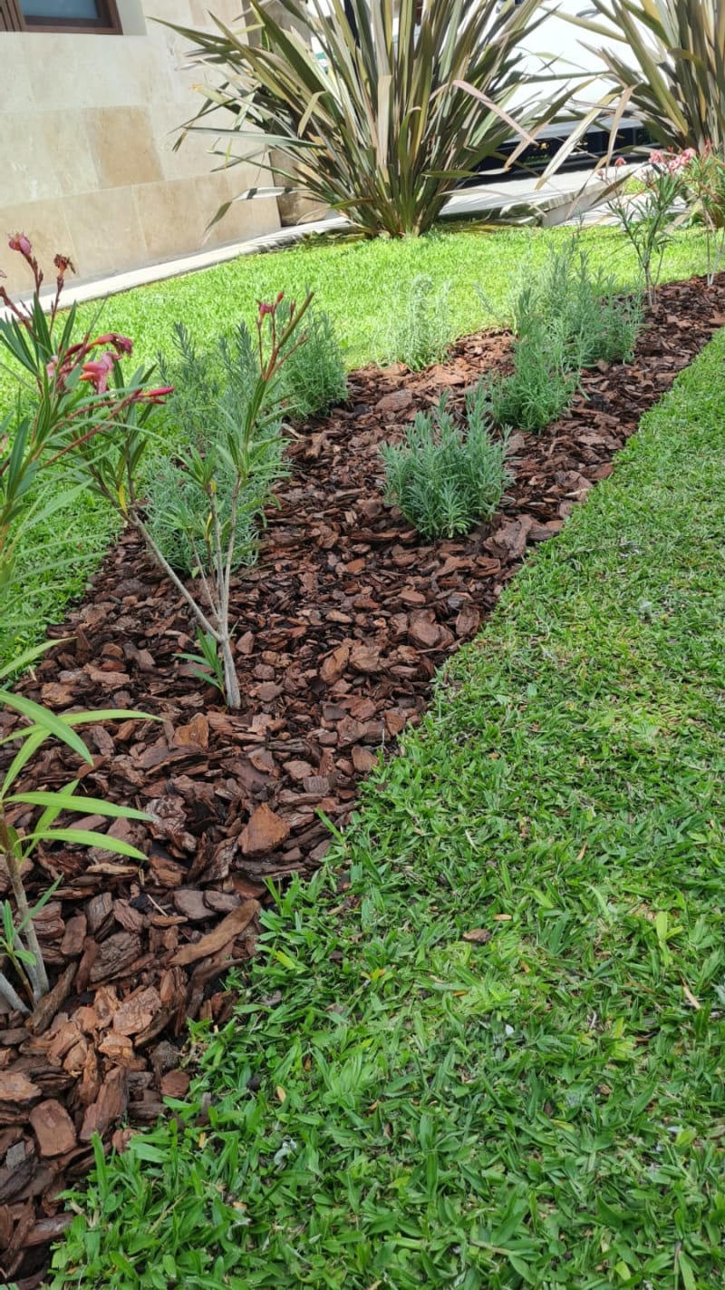 Mantenimiento periódico de jardines