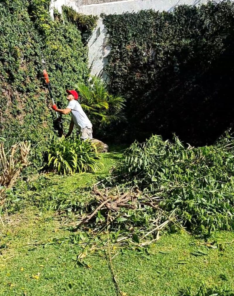 Puesta a punto jardines