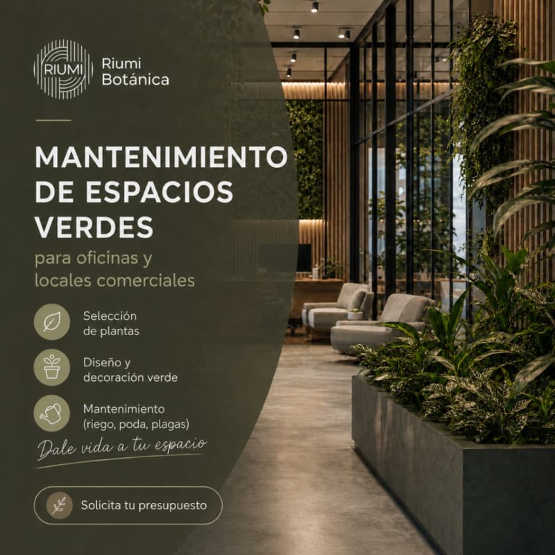 Mantenimiento locales comerciales y oficinas