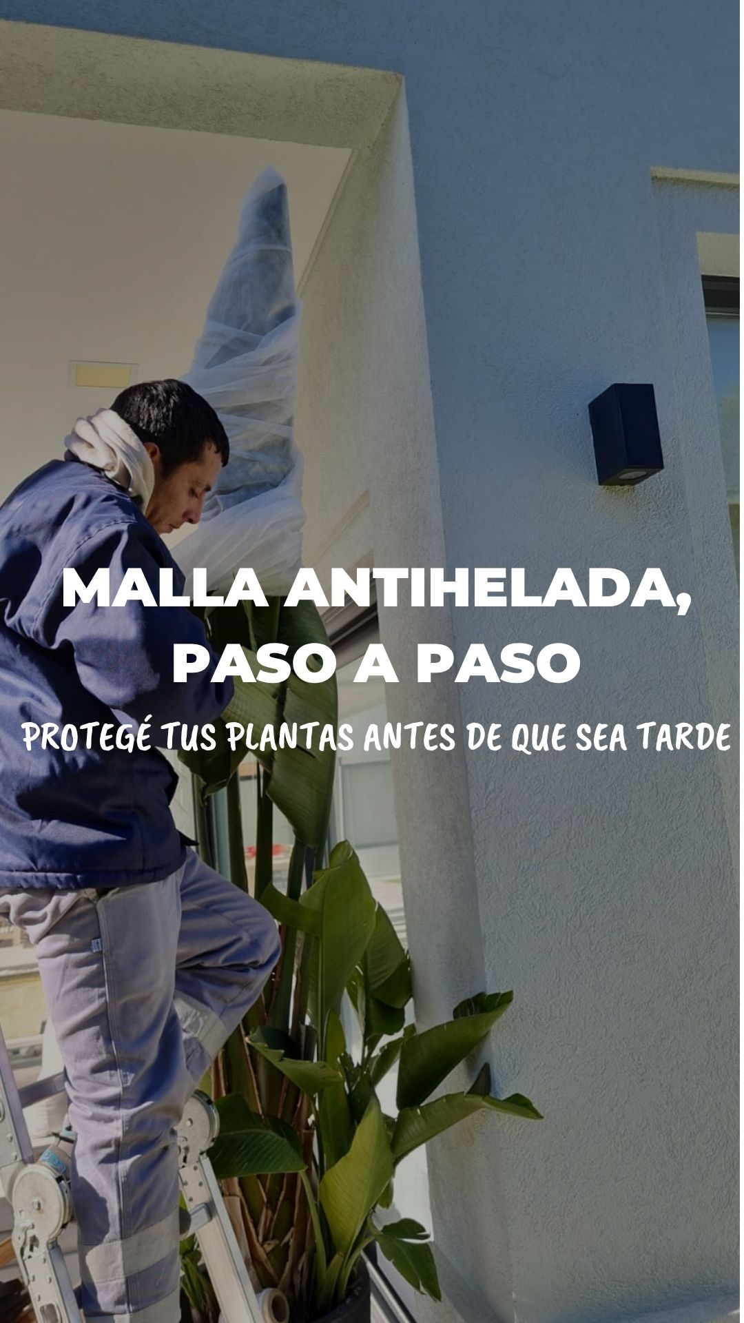 Trabajos especiales
