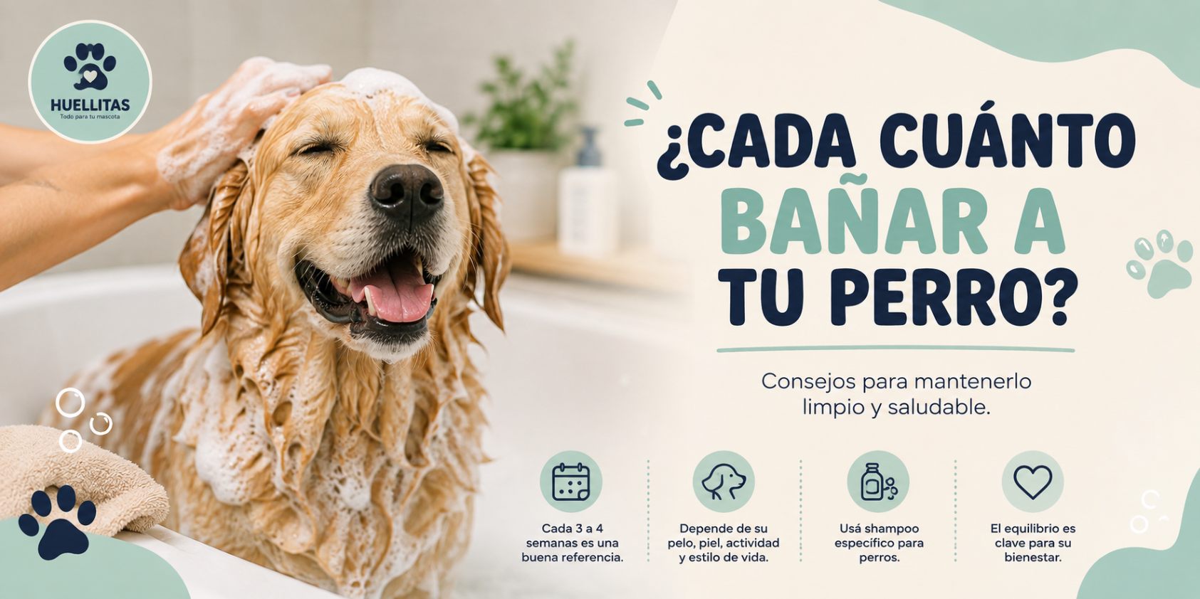 ¿Cada cuánto se recomienda bañar a tu perro?