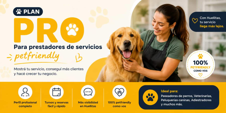 Servicio veterinario, Plan PRO