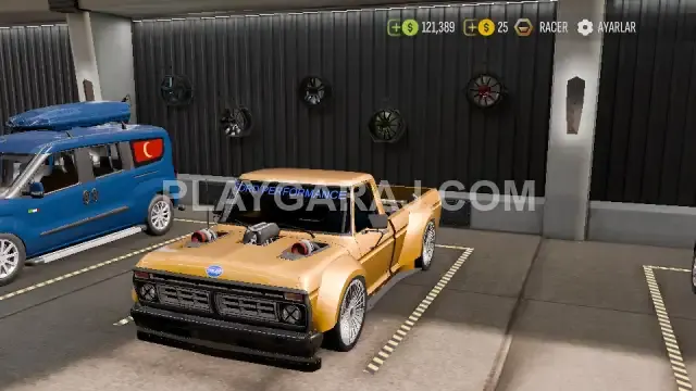 Mustang coinli