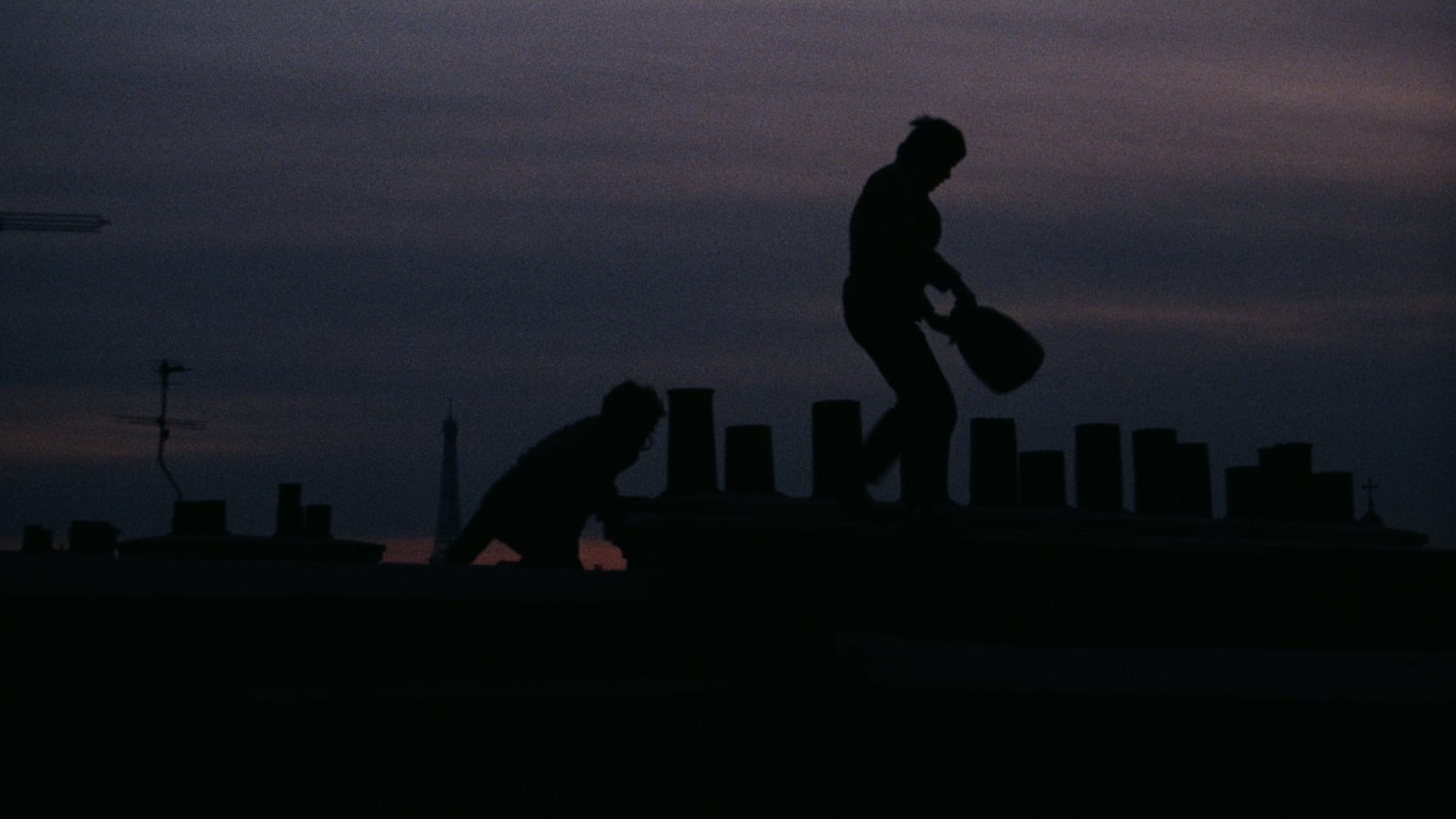 A Month in Film: November 2024