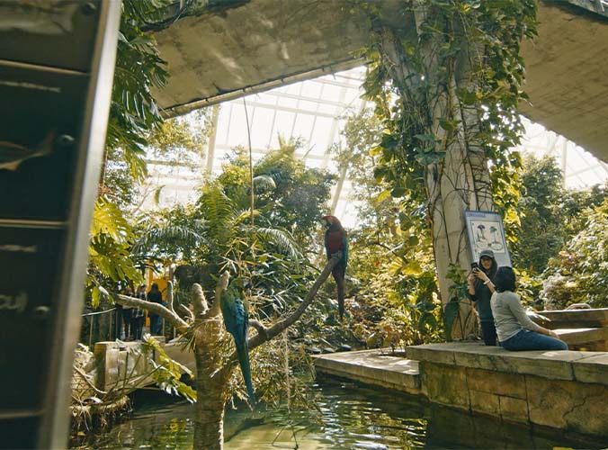 Rainforest Pyramid at Moody Gardens in Galveston