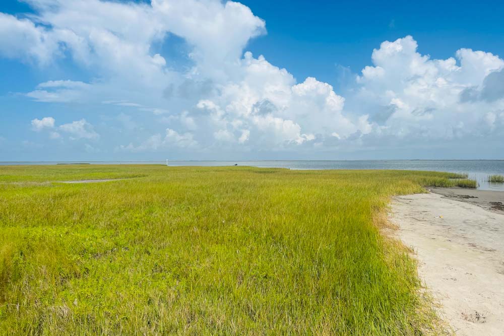 Galveston Island State Park In Texas