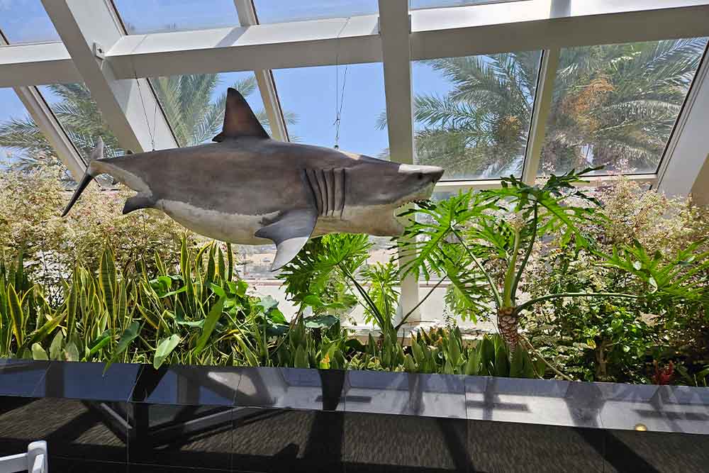 Discovery Pyramid at Moody Gardens in Galveston