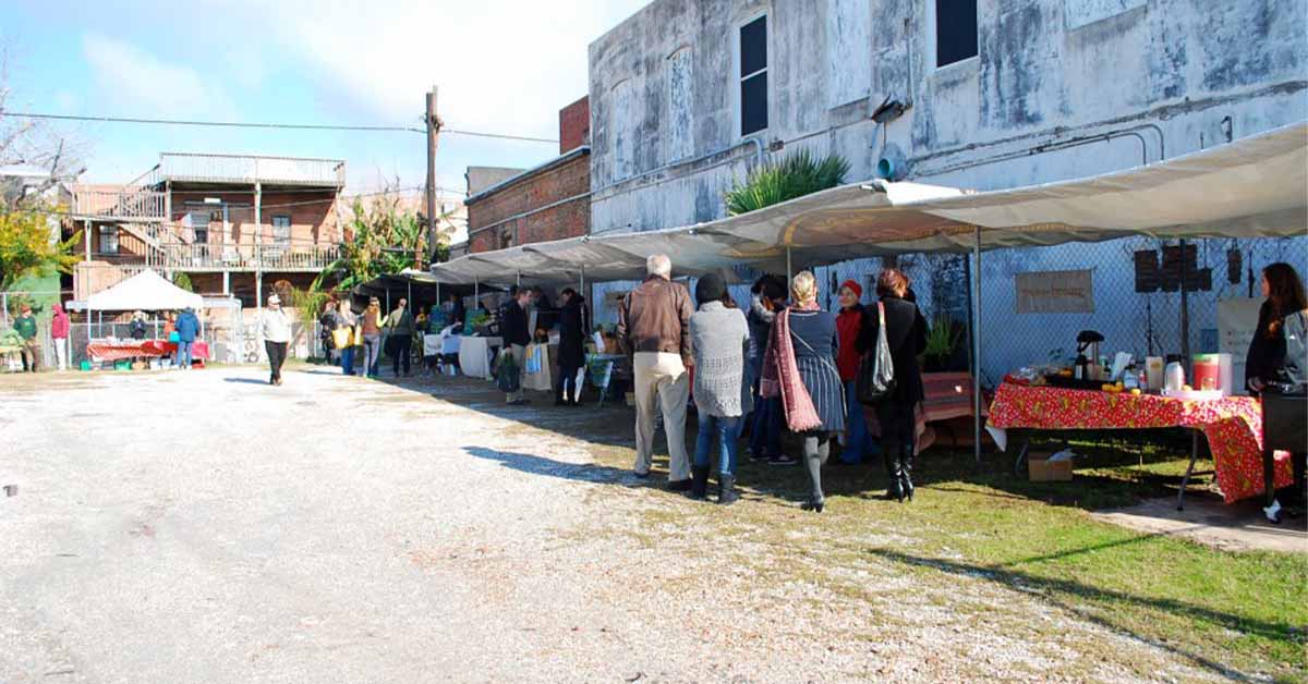 Galveston's Own Farmers Market Every Sunday in Galveston