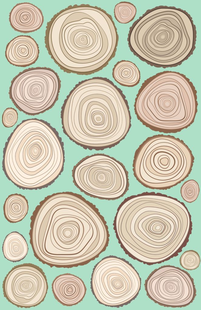 Tree Rings