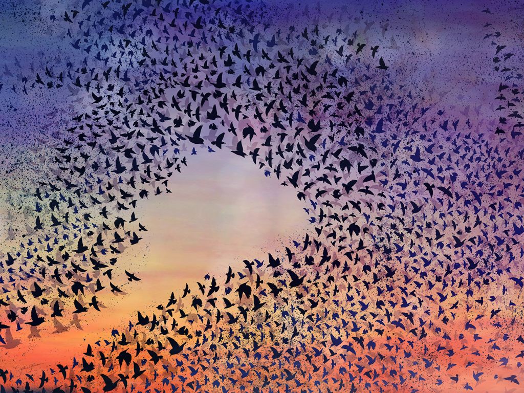 Murmuration