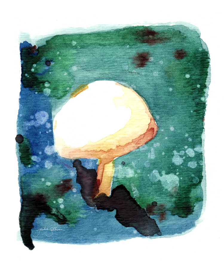 The Lone Mushroom