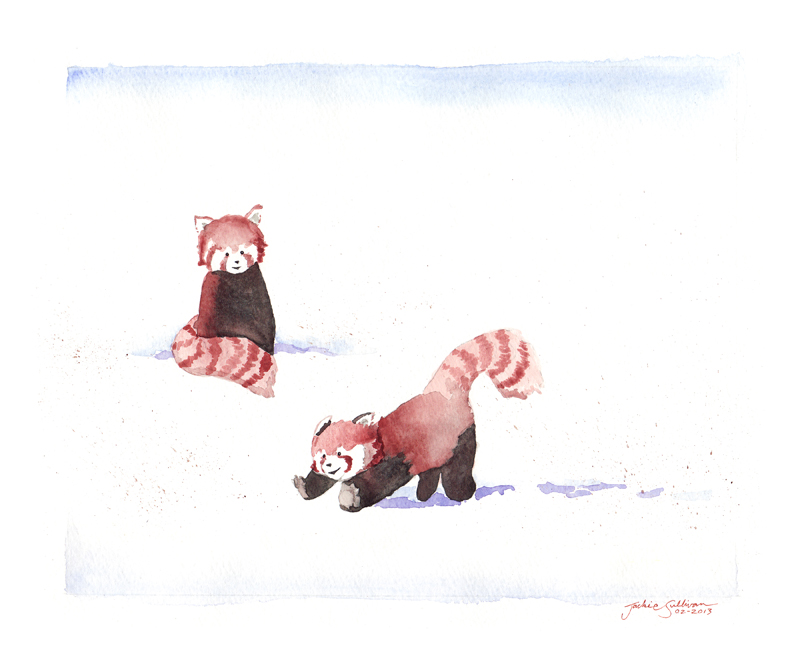 Red Pandas in the Snow