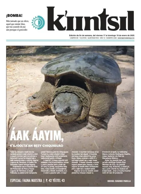 Portada de La Jornada - Kiintsil del viernes, 17 de enero de 2025