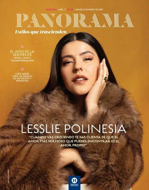 Portada de Panorama