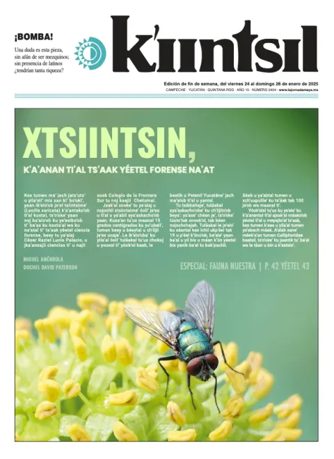 Portada de La Jornada - Kiintsil del domingo, 26 de enero de 2025