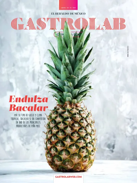 Portada de El Heraldo de Mexico