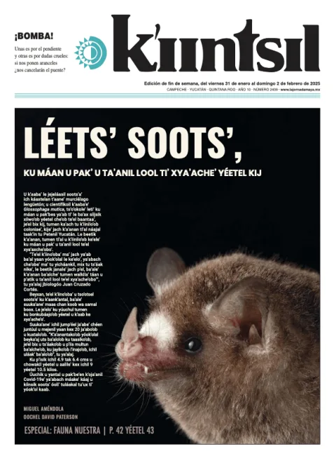 Portada de La Jornada - Kiintsil