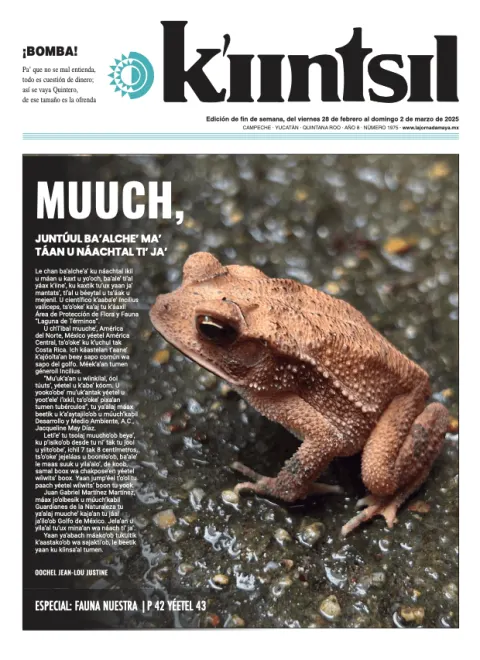 Portada de La Jornada - Kiintsil del viernes, 28 de febrero de 2025