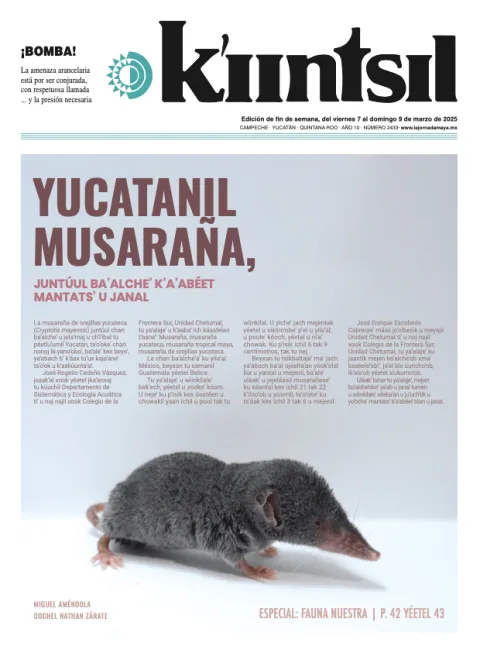 Portada de La Jornada - Kiintsil del viernes, 7 de marzo de 2025