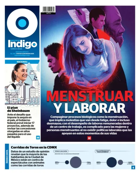 Portada de Reporte Indigo