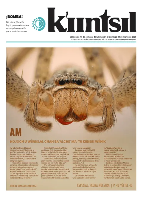 Portada de La Jornada - Kiintsil