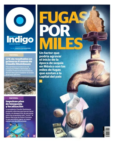 Portada de Reporte Indigo