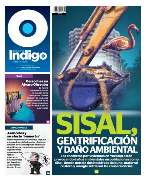 Portada de Reporte Indigo