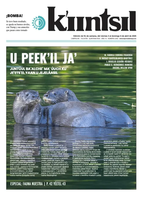 Portada de La Jornada - Kiintsil