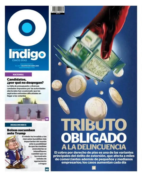 Portada de Reporte Indigo
