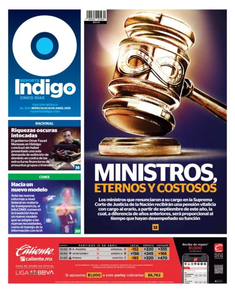 Portada de Reporte Indigo