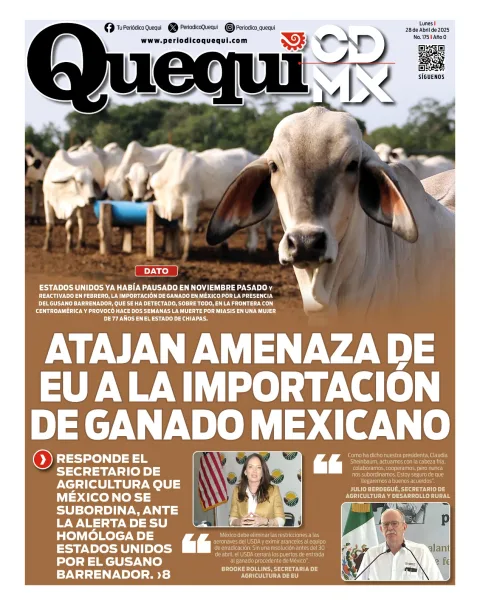 Portada de Quequi CDMX