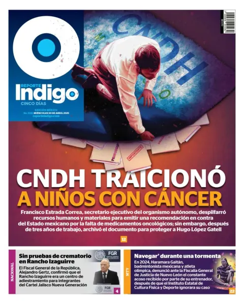 Portada de Reporte Indigo