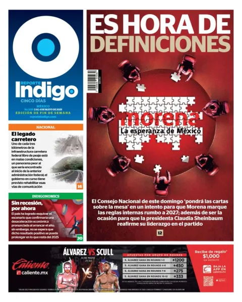 Portada de Reporte Indigo