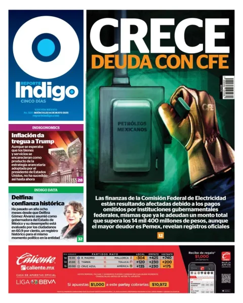 Portada de Reporte Indigo