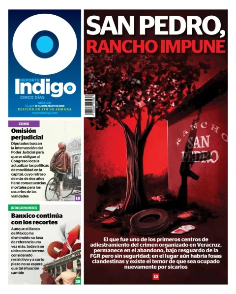 Portada de Reporte Indigo