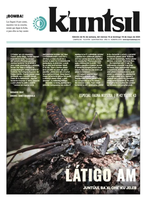 Portada de La Jornada - Kiintsil del viernes, 16 de mayo de 2025