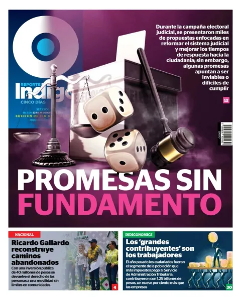 Portada de Reporte Indigo