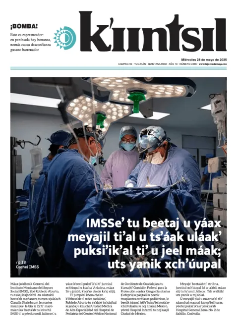 Portada de La Jornada - Kiintsil