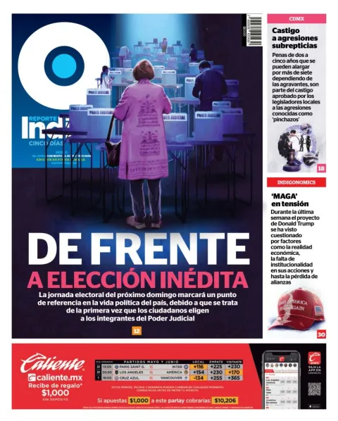 Portada de Reporte Indigo