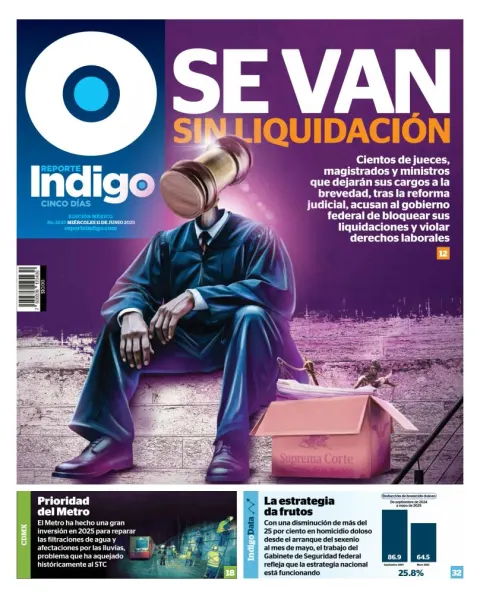Portada de Reporte Indigo