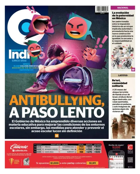 Portada de Reporte Indigo