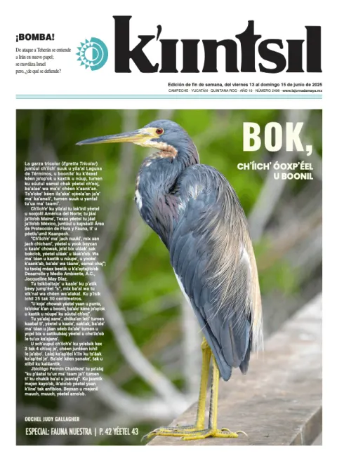 Portada de La Jornada - Kiintsil