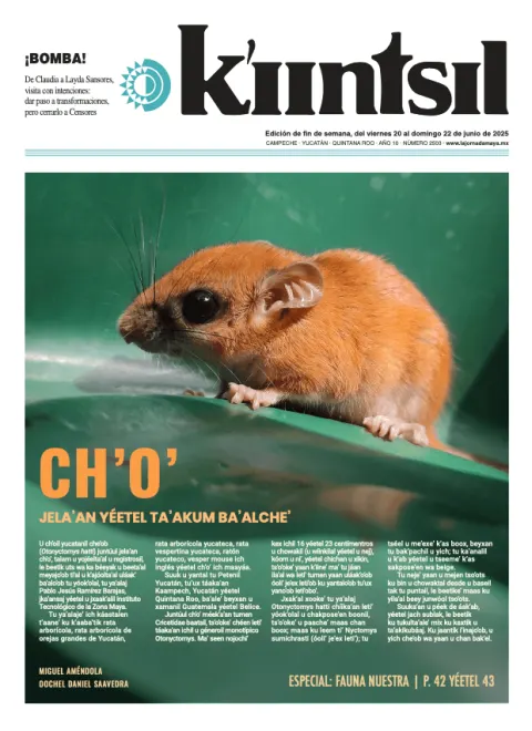 Portada de La Jornada - Kiintsil del viernes, 20 de junio de 2025